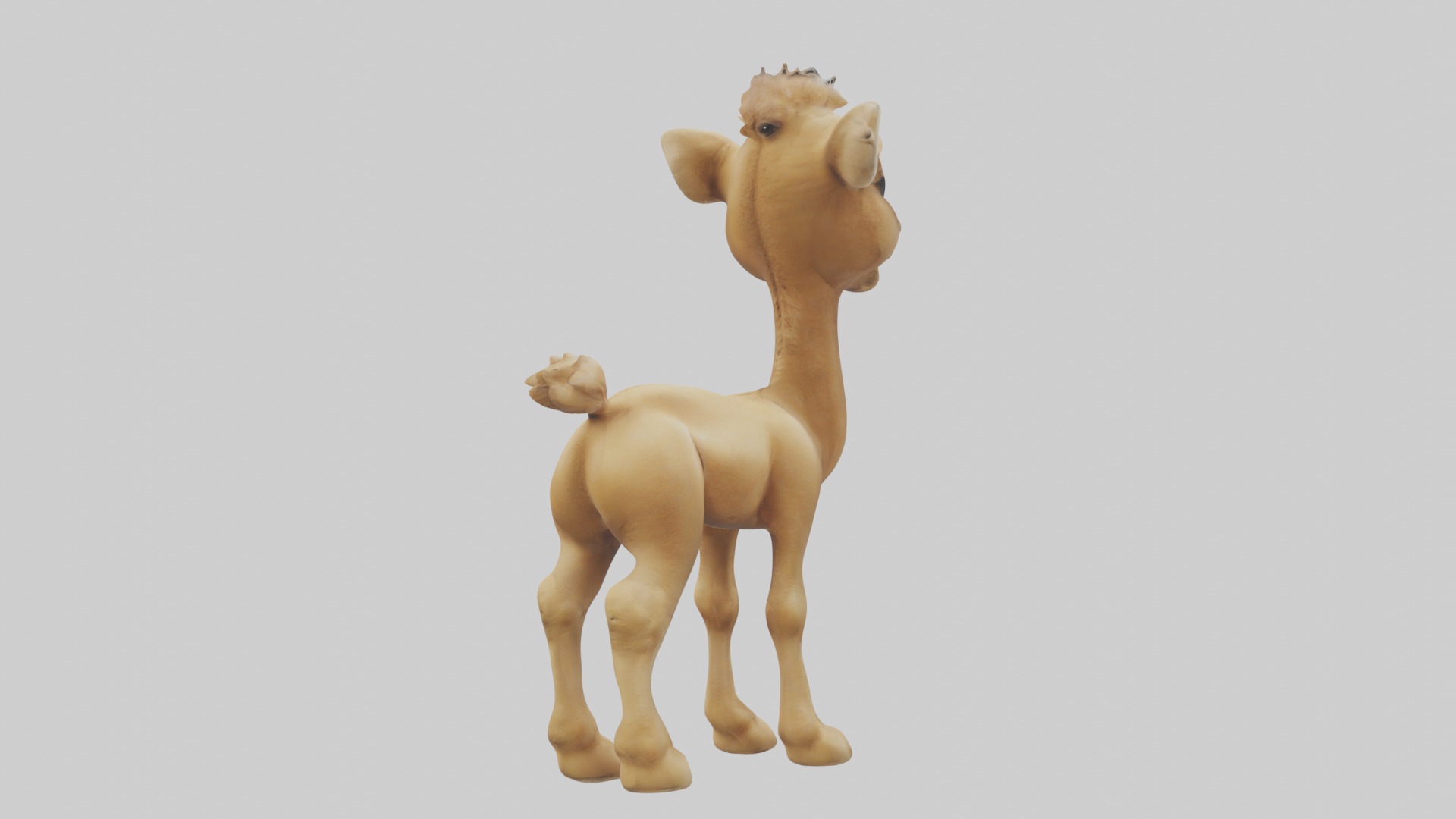 Babycamel Model 1 Low-poly 3D model_4