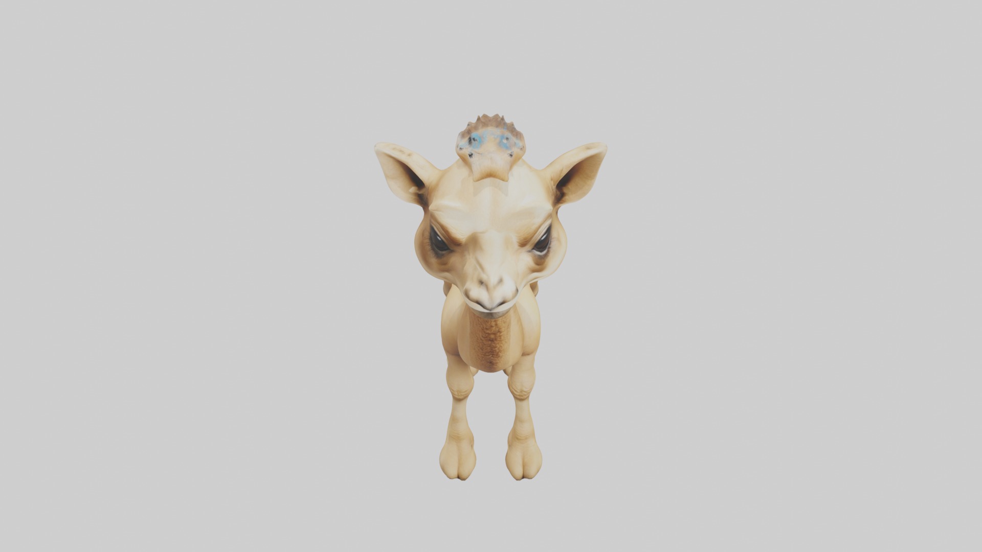 Babycamel Model 1 Low-poly 3D model_10