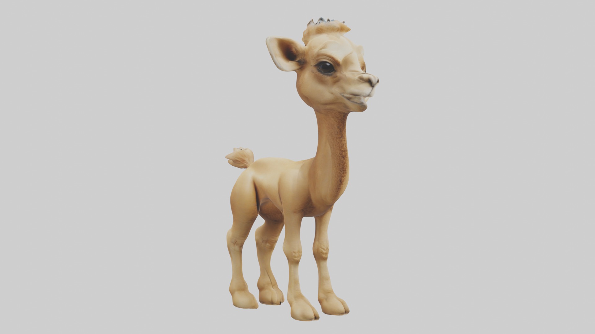 Babycamel Model 1 Low-poly 3D model_5