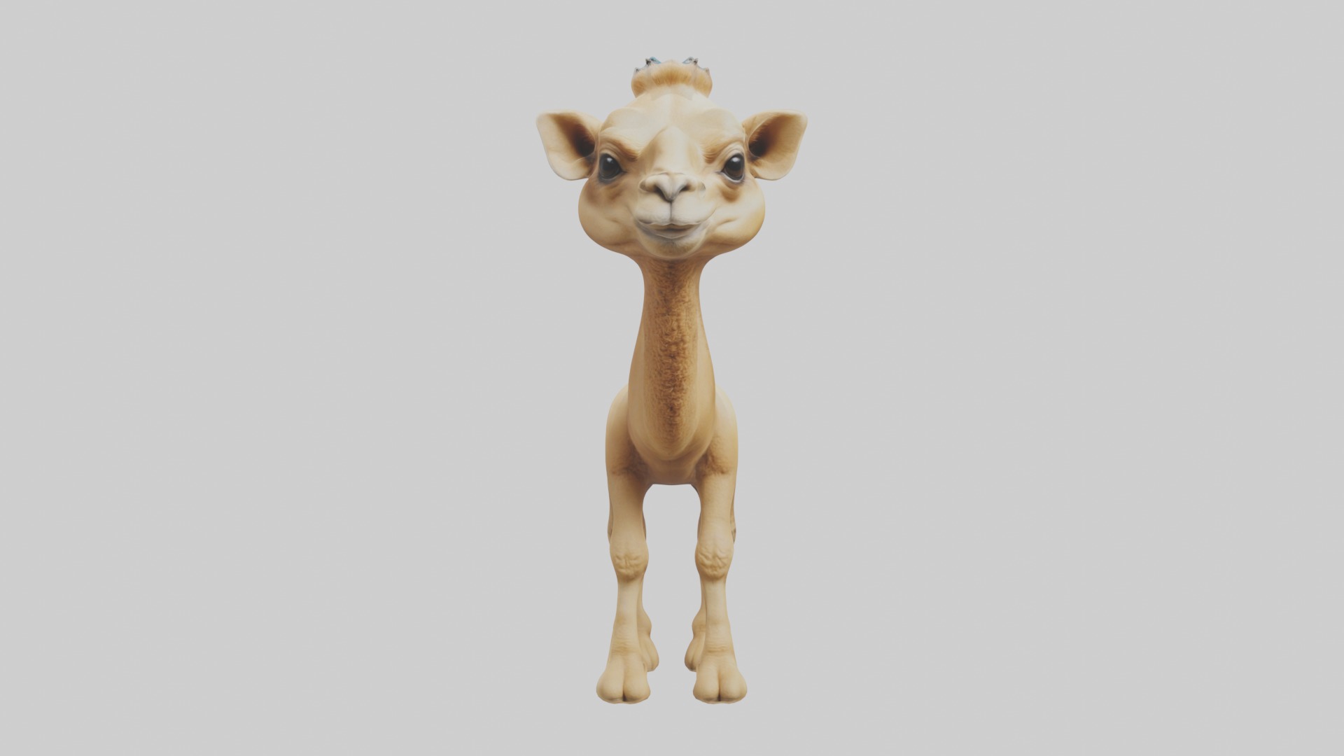 Babycamel Model 1 Low-poly 3D model_1