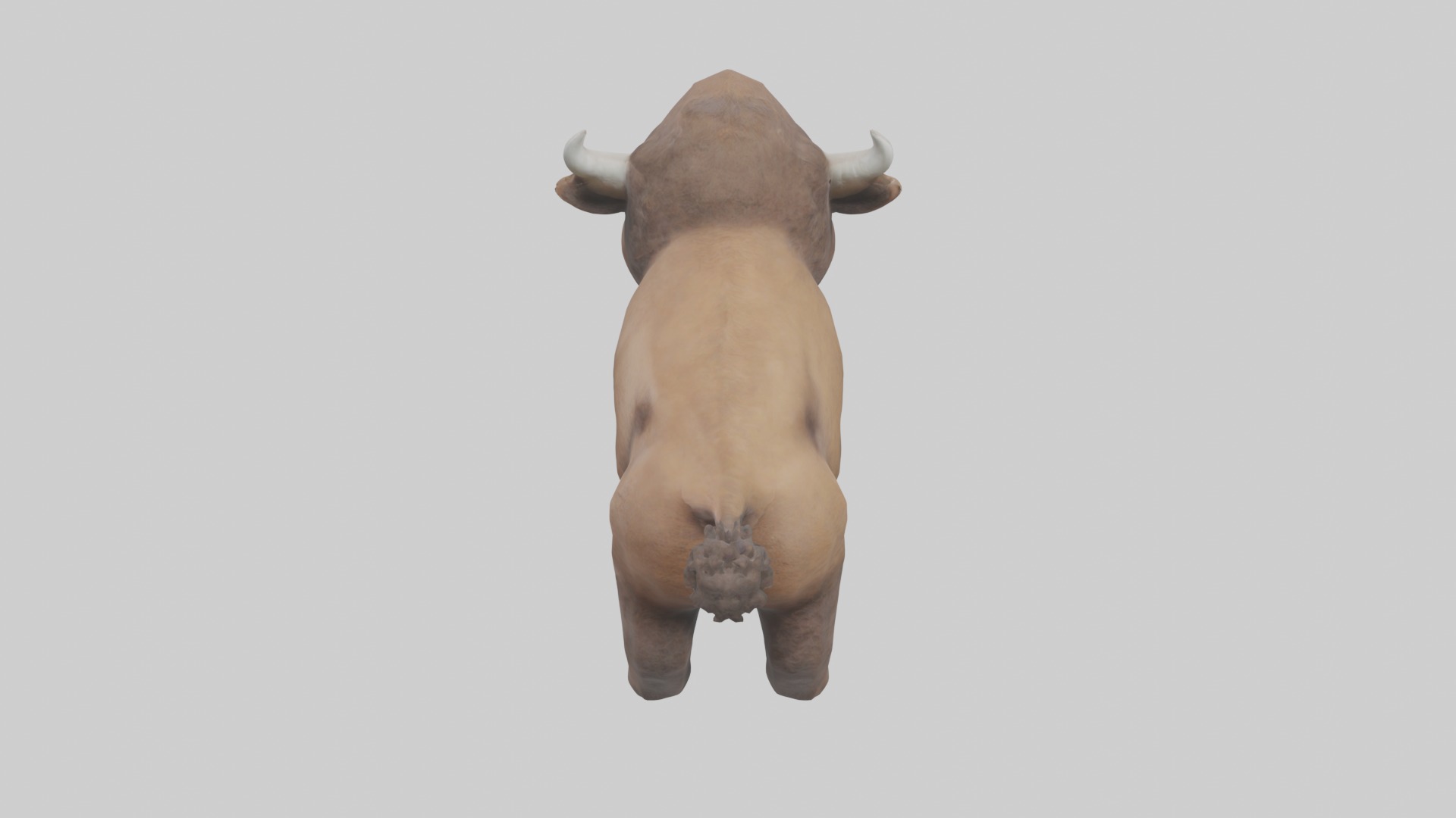 Babybison Model 1 Low-poly 3D model_9