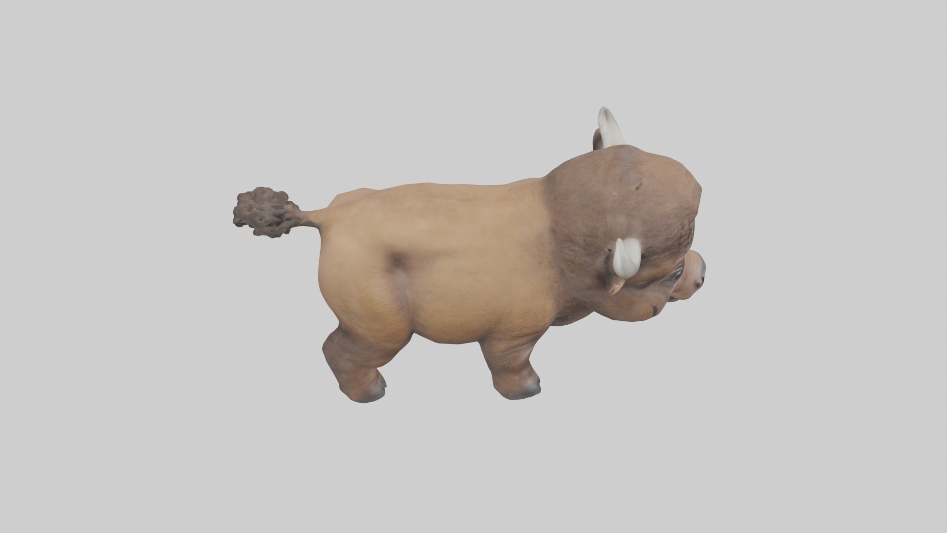 Babybison Model 1 Low-poly 3D model_12