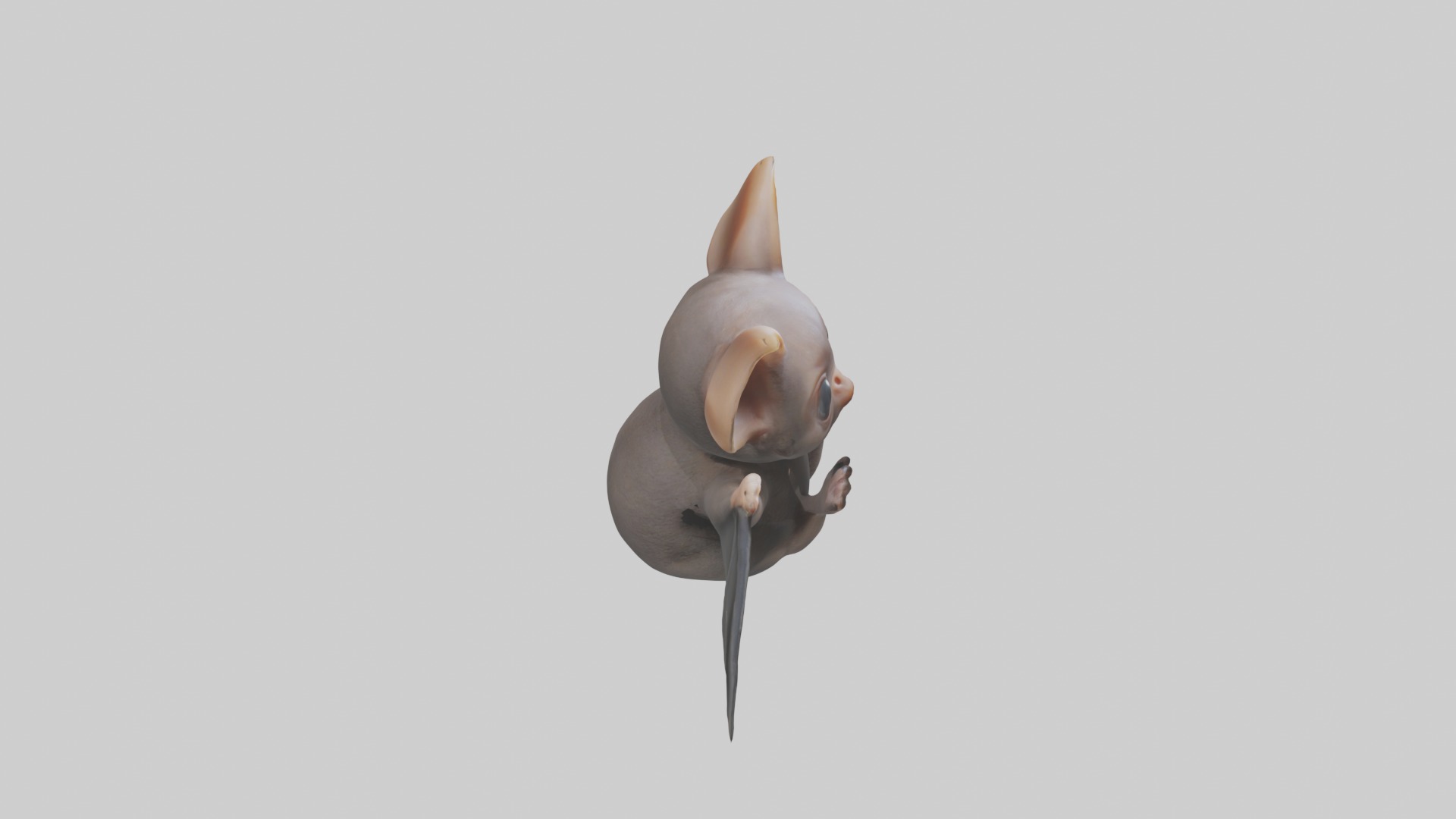 Babybat Model 1 Low-poly 3D model_12