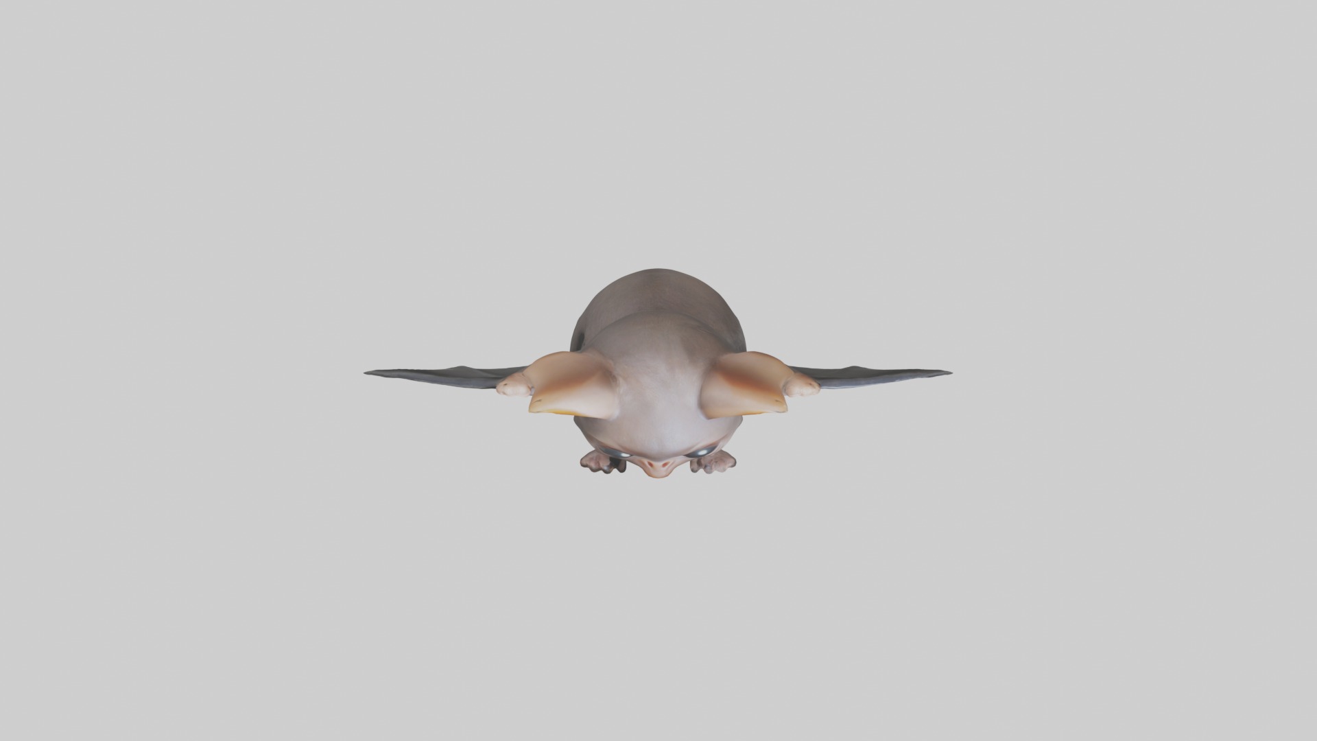 Babybat Model 1 Low-poly 3D model_8