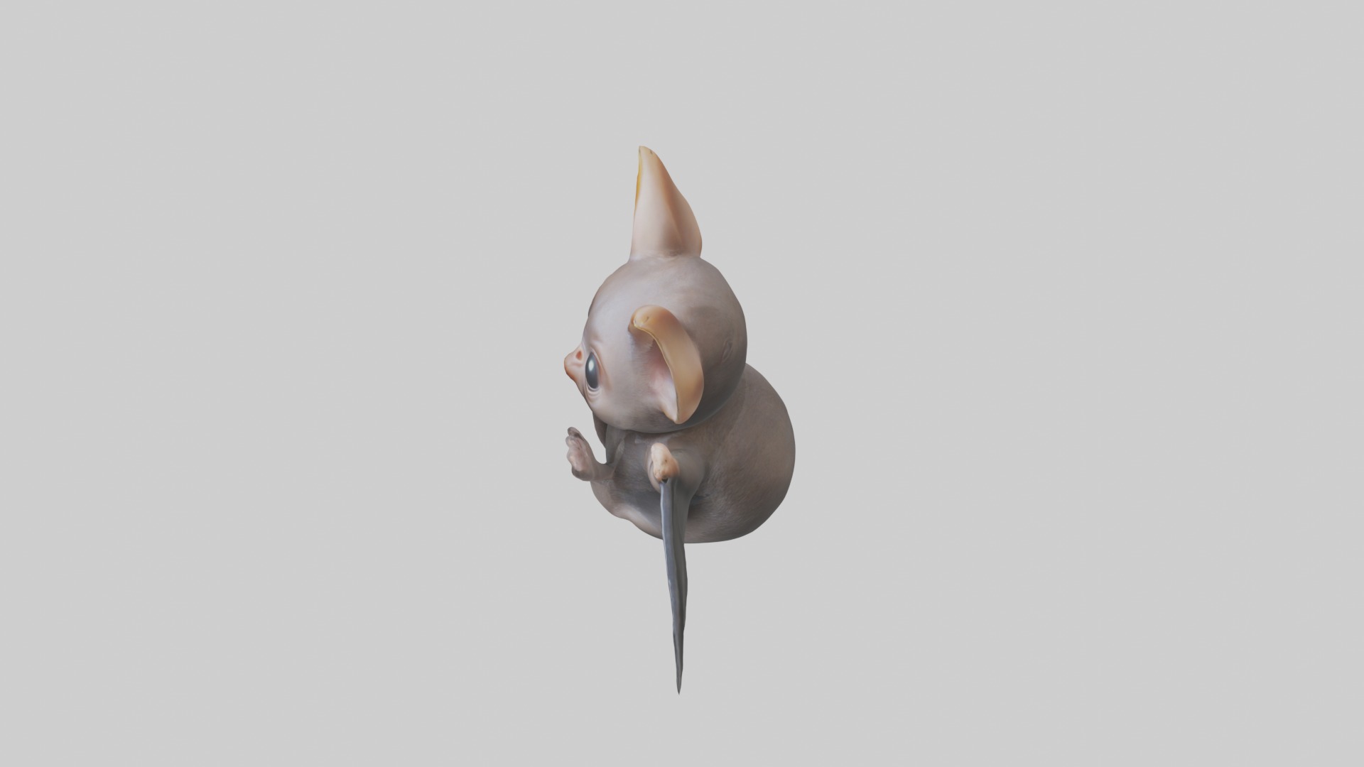 Babybat Model 1 Low-poly 3D model_11