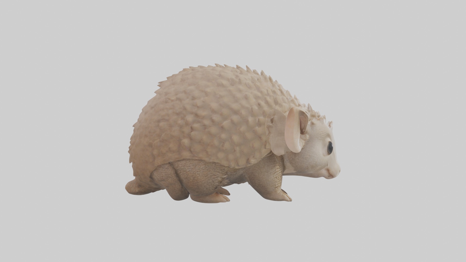Babyarmadillo Model 1 Low-poly 3D model_7