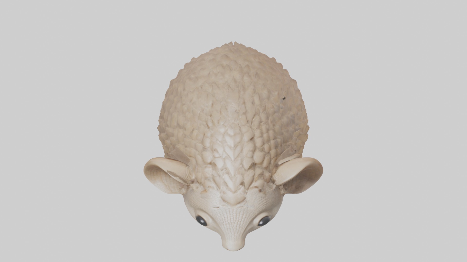 Babyarmadillo Model 1 Low-poly 3D model_10