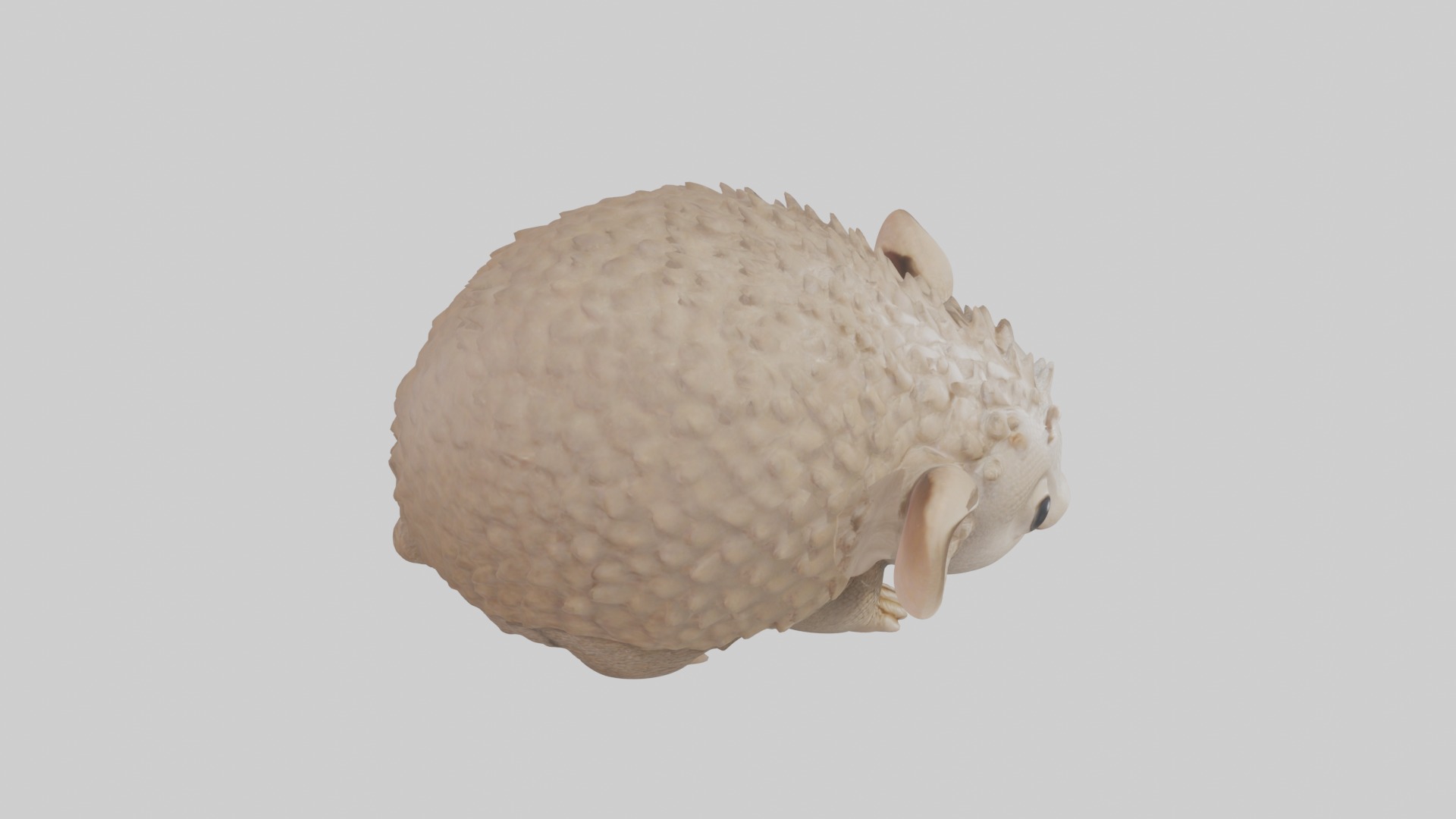 Babyarmadillo Model 1 Low-poly 3D model_12