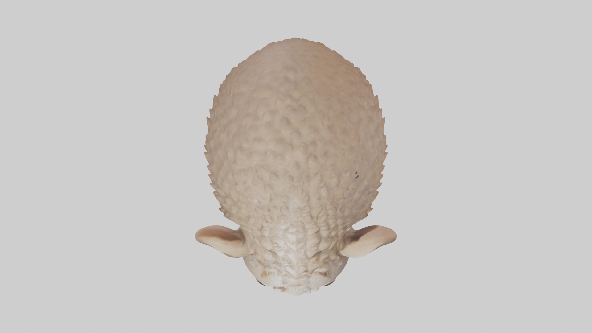 Babyarmadillo Model 1 Low-poly 3D model_8