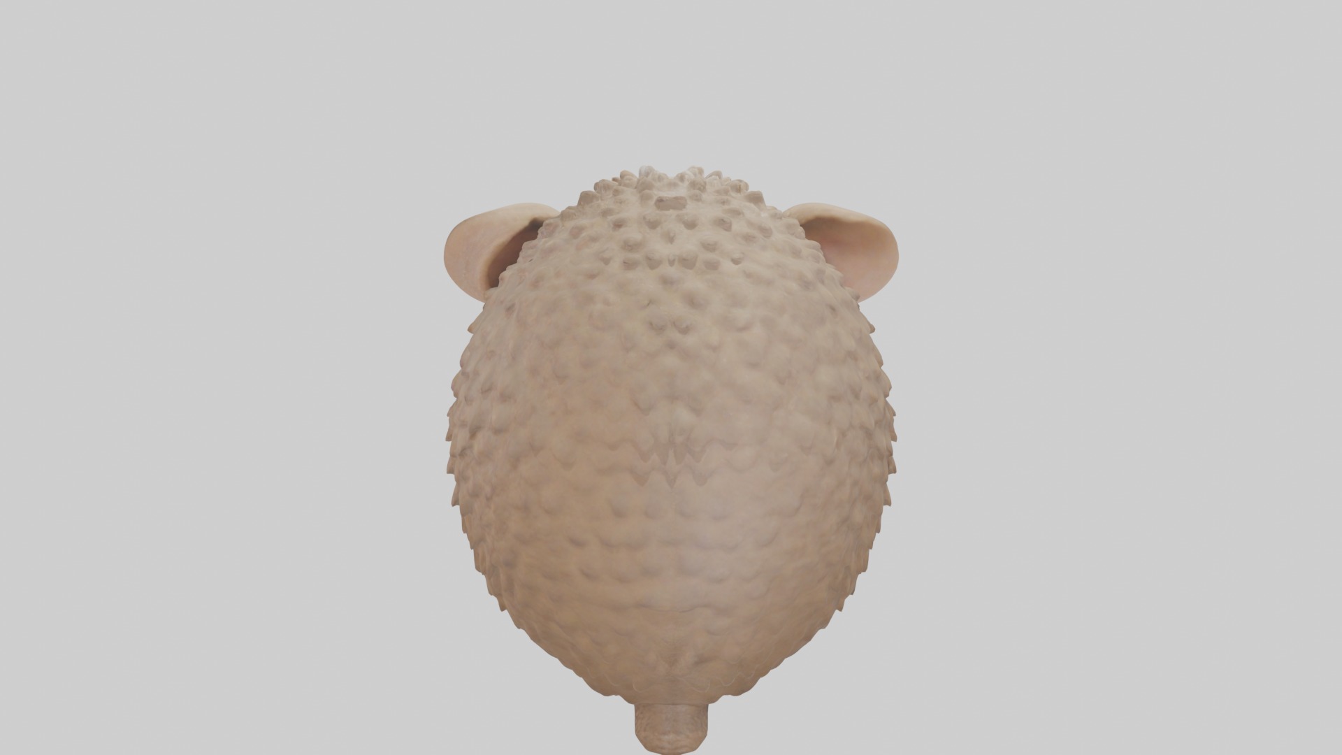 Babyarmadillo Model 1 Low-poly 3D model_9
