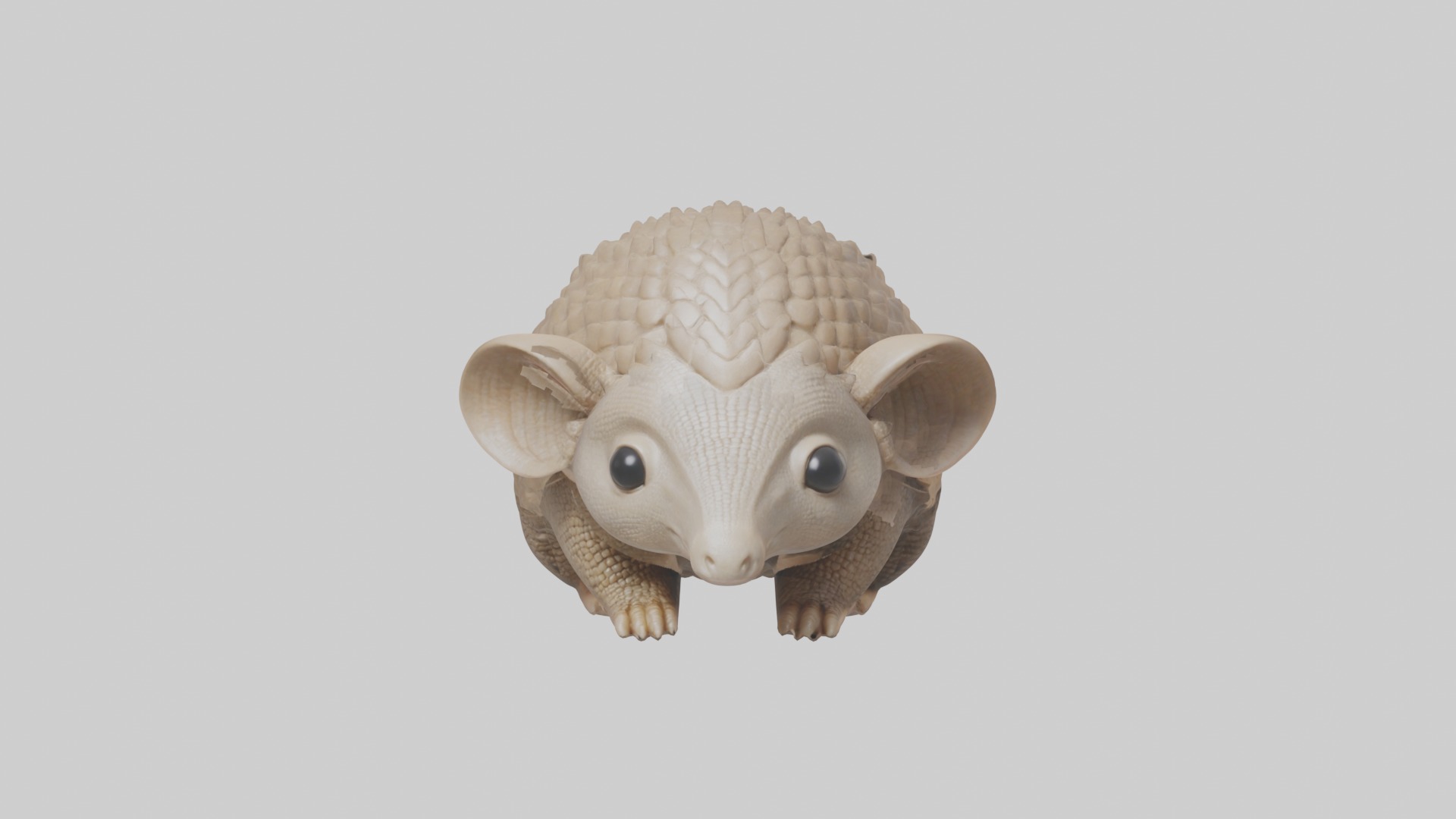 Babyarmadillo Model 1 Low-poly 3D model_4