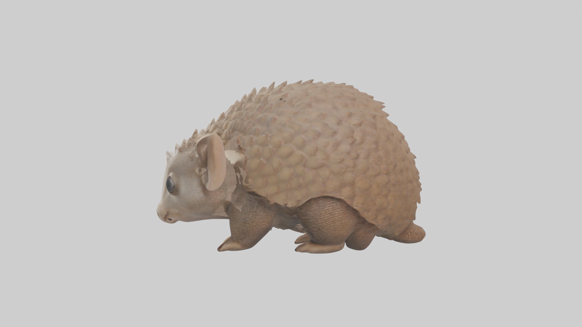 Babyarmadillo Model 1 Low-poly 3D model_6