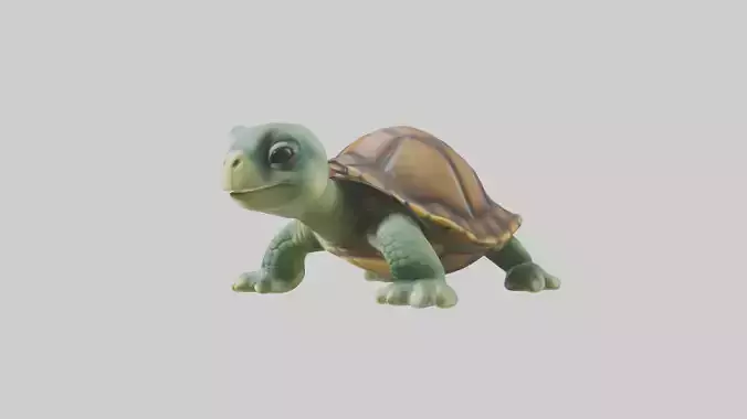 Baby Turtle Model 1