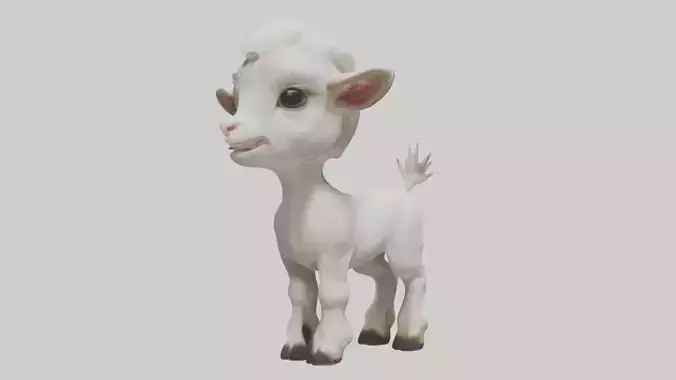 Baby Goat Kid Model 1