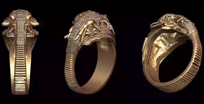 ELEPHANT RING 