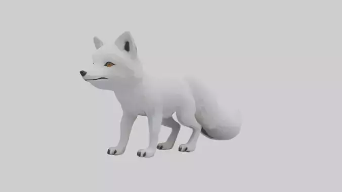 Arctic Fox Model 1 Low-poly 3D model