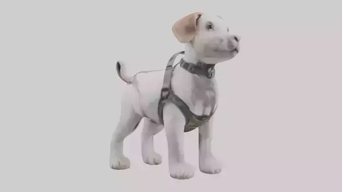 Animalharness Model 1 Low-poly 3D model