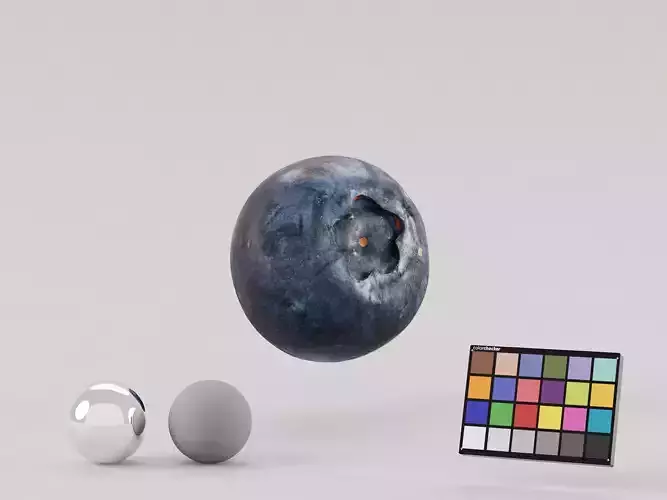 Blueberry Photoscan Low-poly 3D model