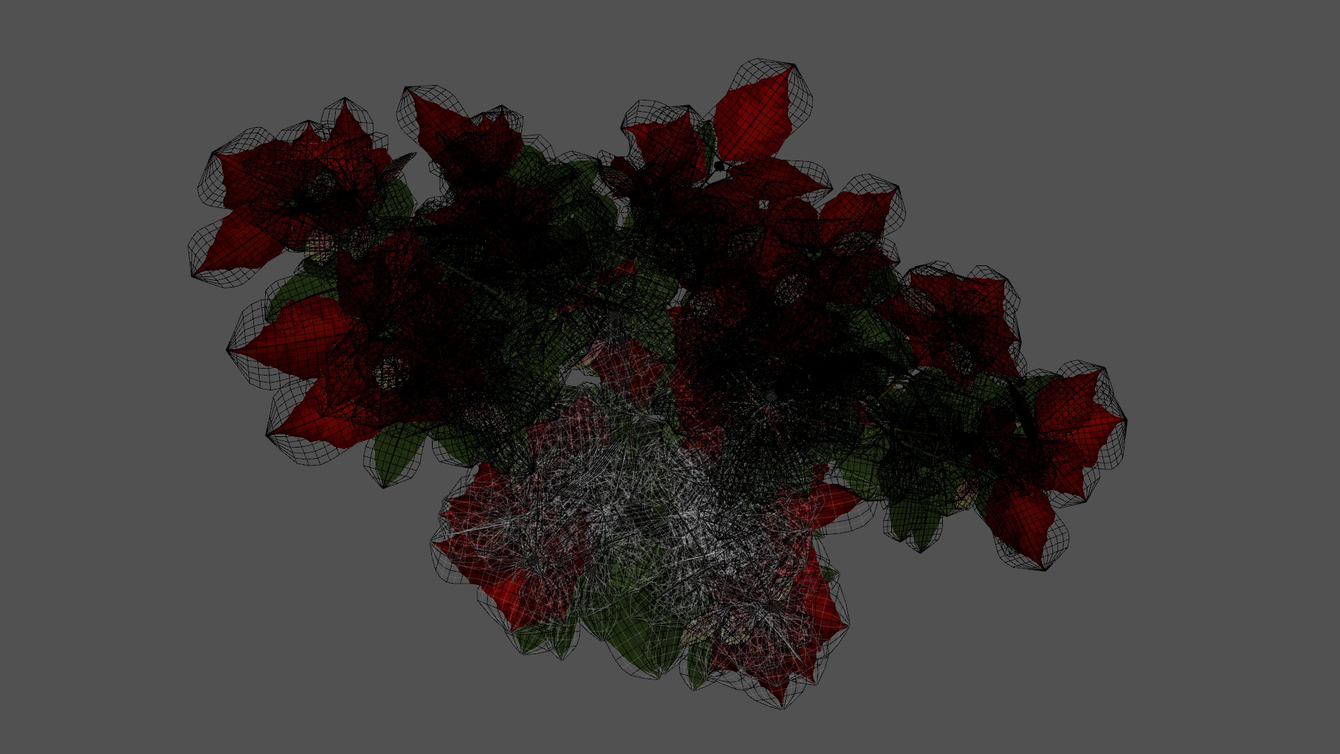 Poinsettia Christmas  Low-poly 3D model_9