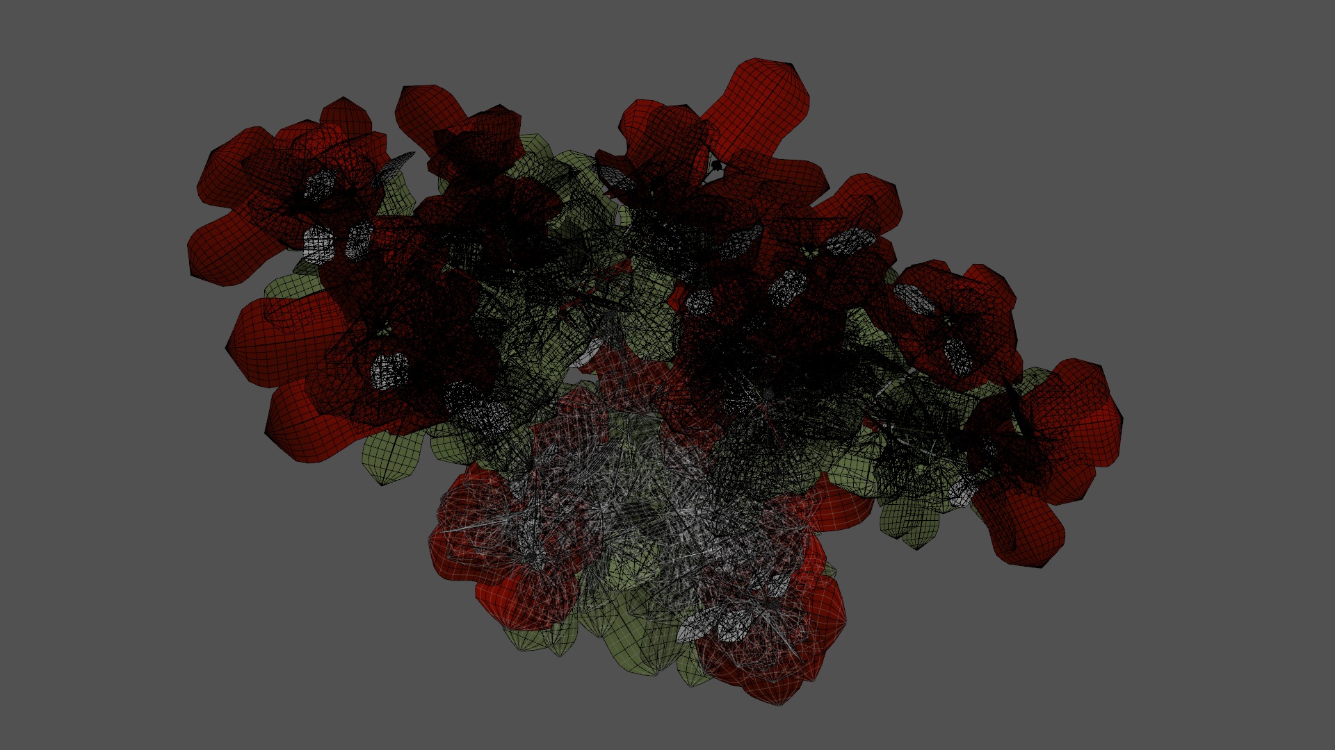 Poinsettia Christmas  Low-poly 3D model_7