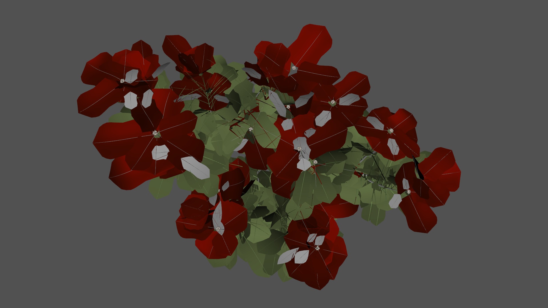 Poinsettia Christmas  Low-poly 3D model_8