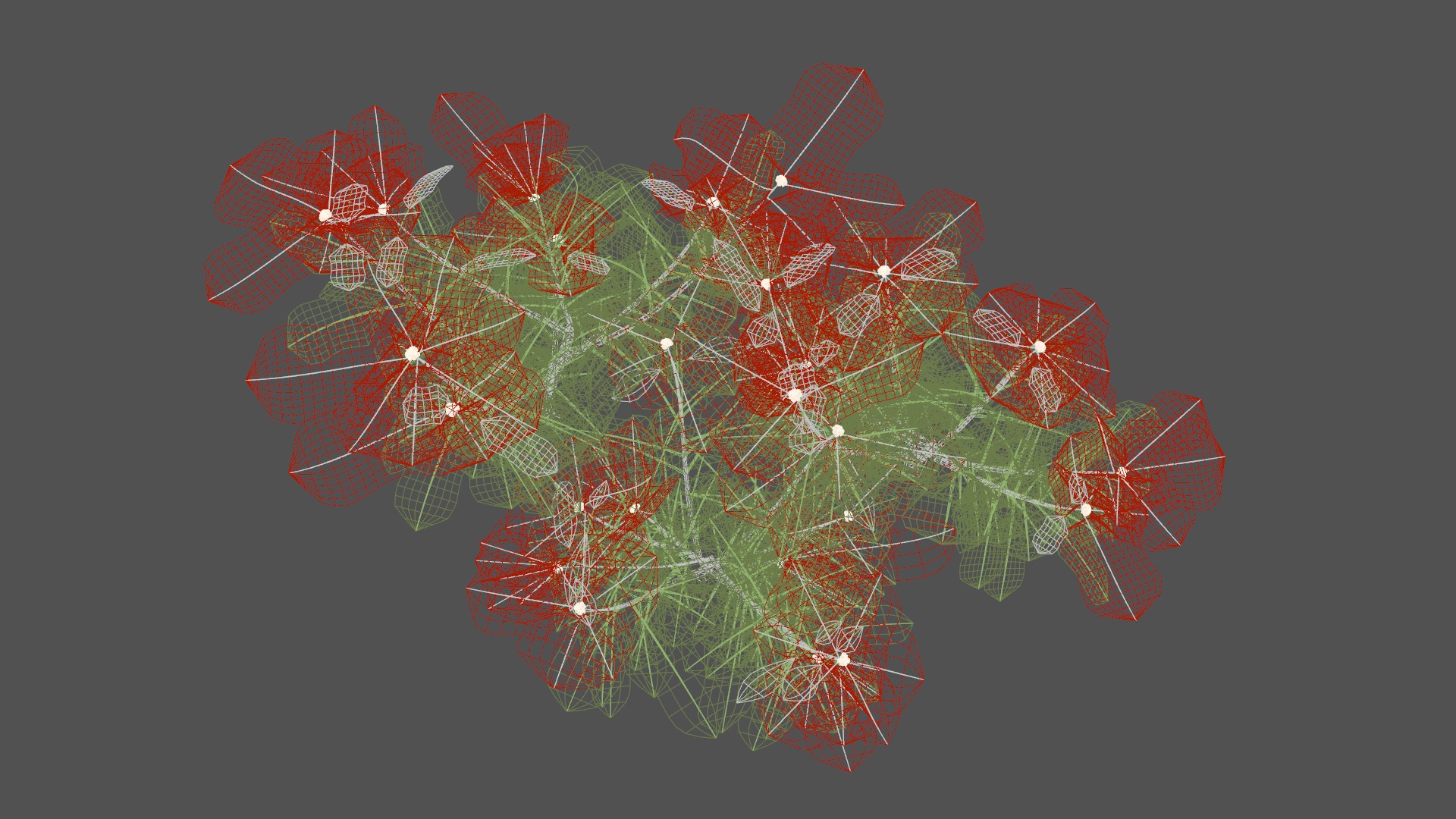 Poinsettia Christmas  Low-poly 3D model_6