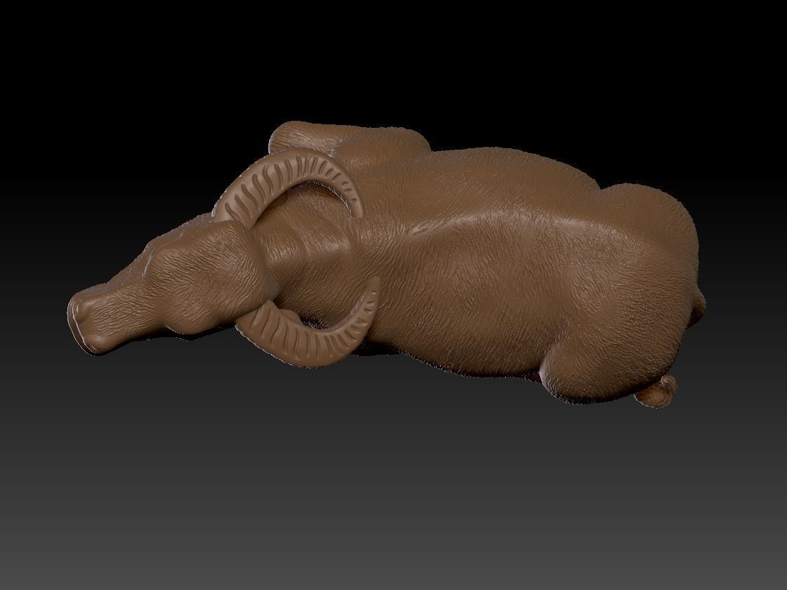 Buffalo Animal 3D print model_2