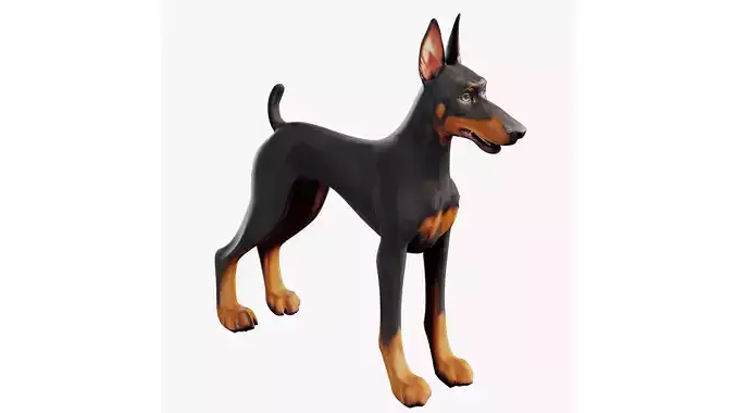 Doberman