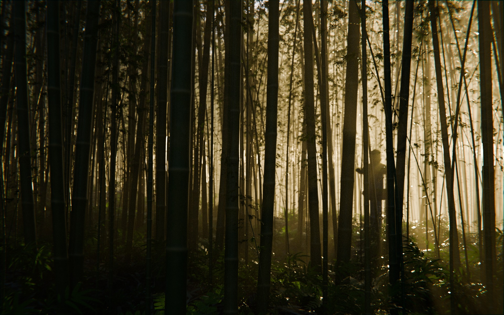 Bamboo Forest 3d Scene 3D model_2