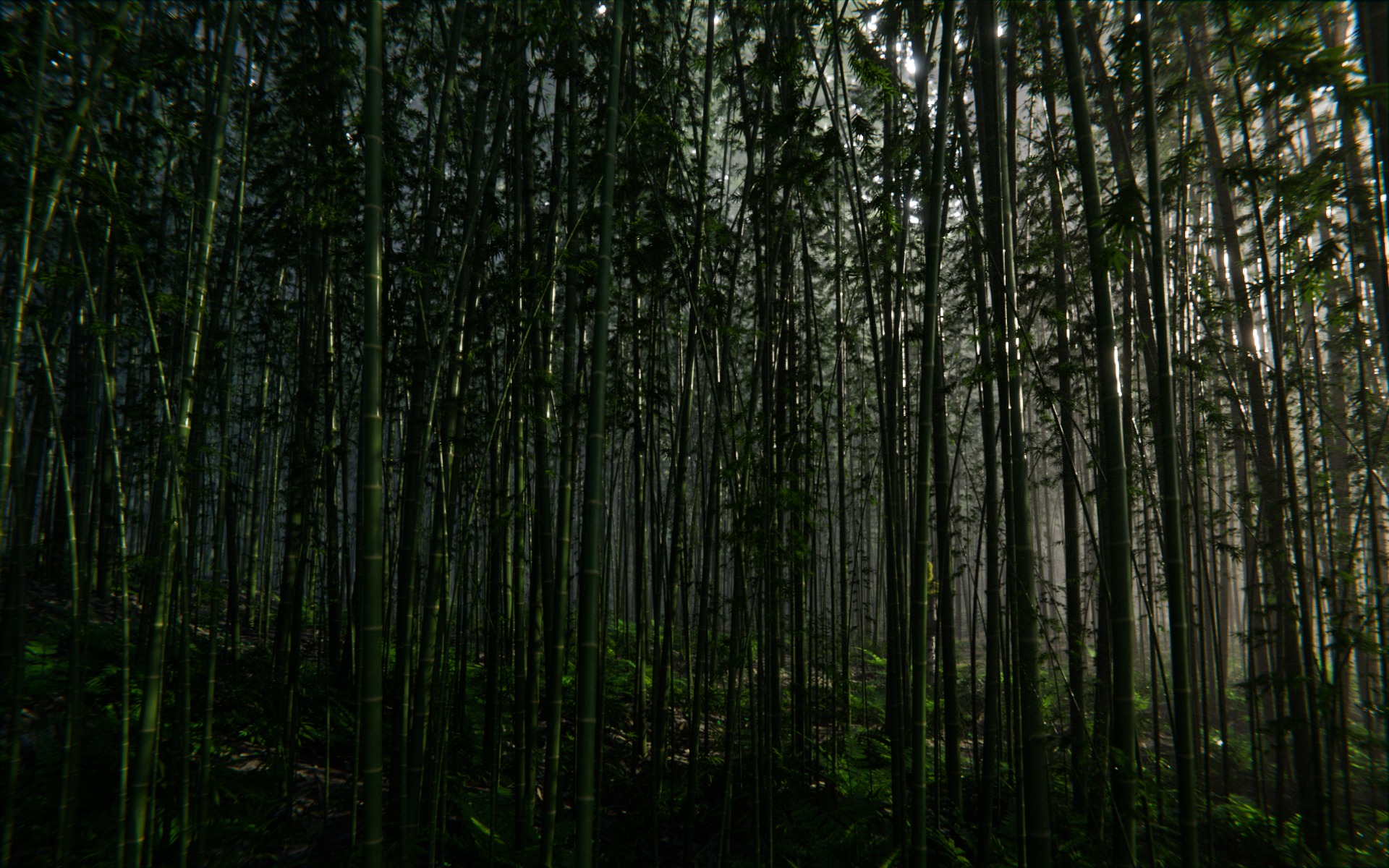 Bamboo Forest 3d Scene 3D model_8