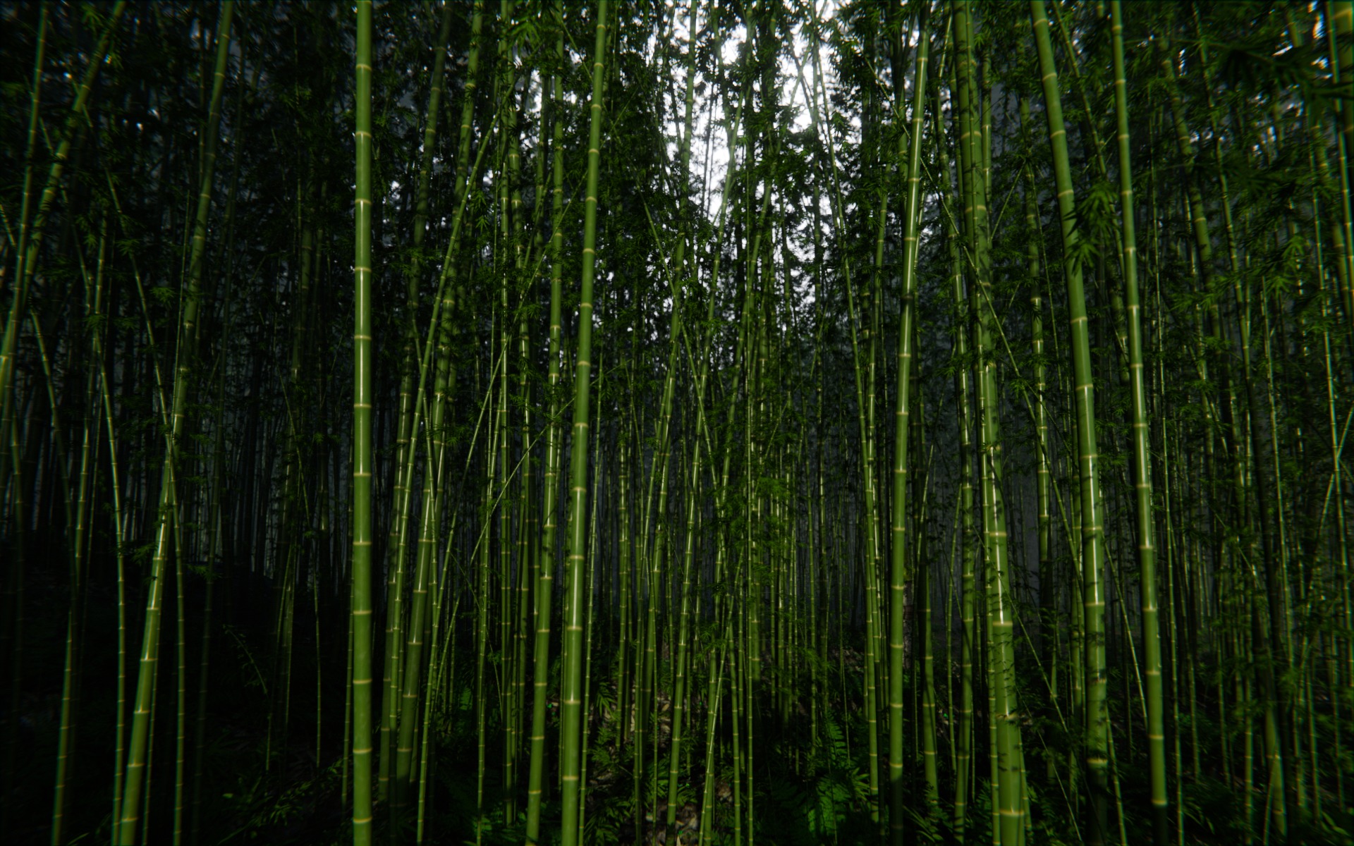 Bamboo Forest 3d Scene 3D model_6