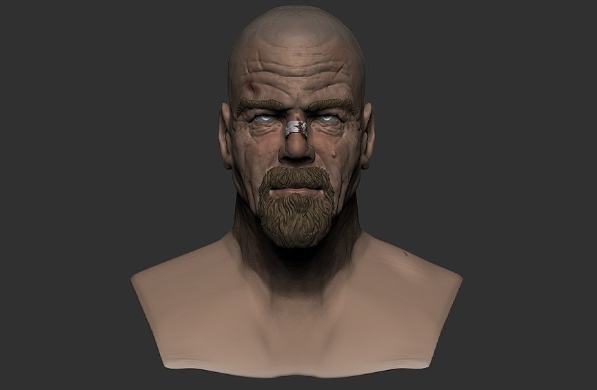 WALTER WHITE 3D model_2