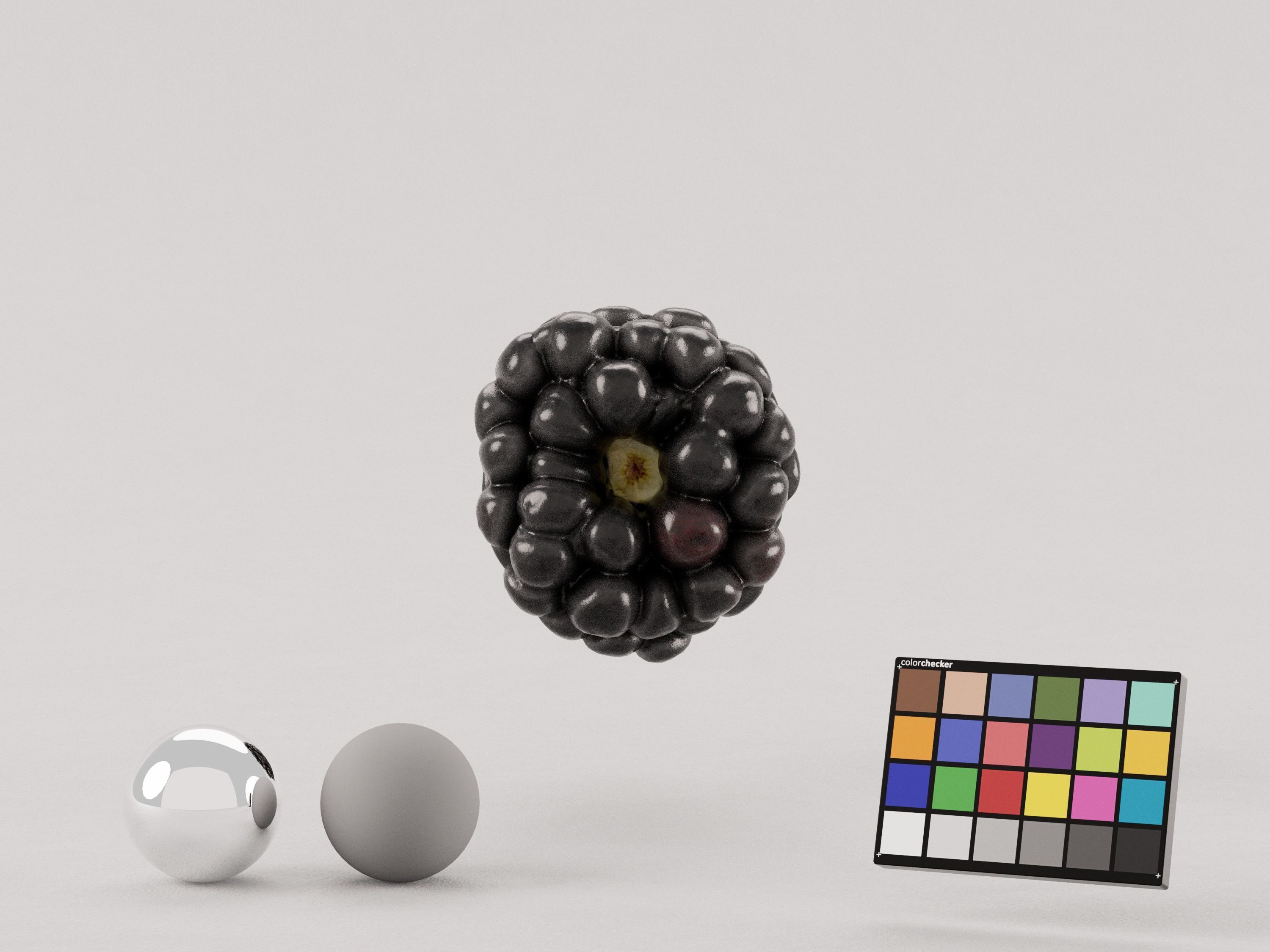 Blackberry Fruit 3D model_2
