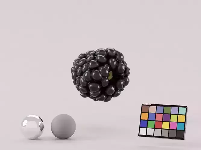 Blackberry Fruit 3D model