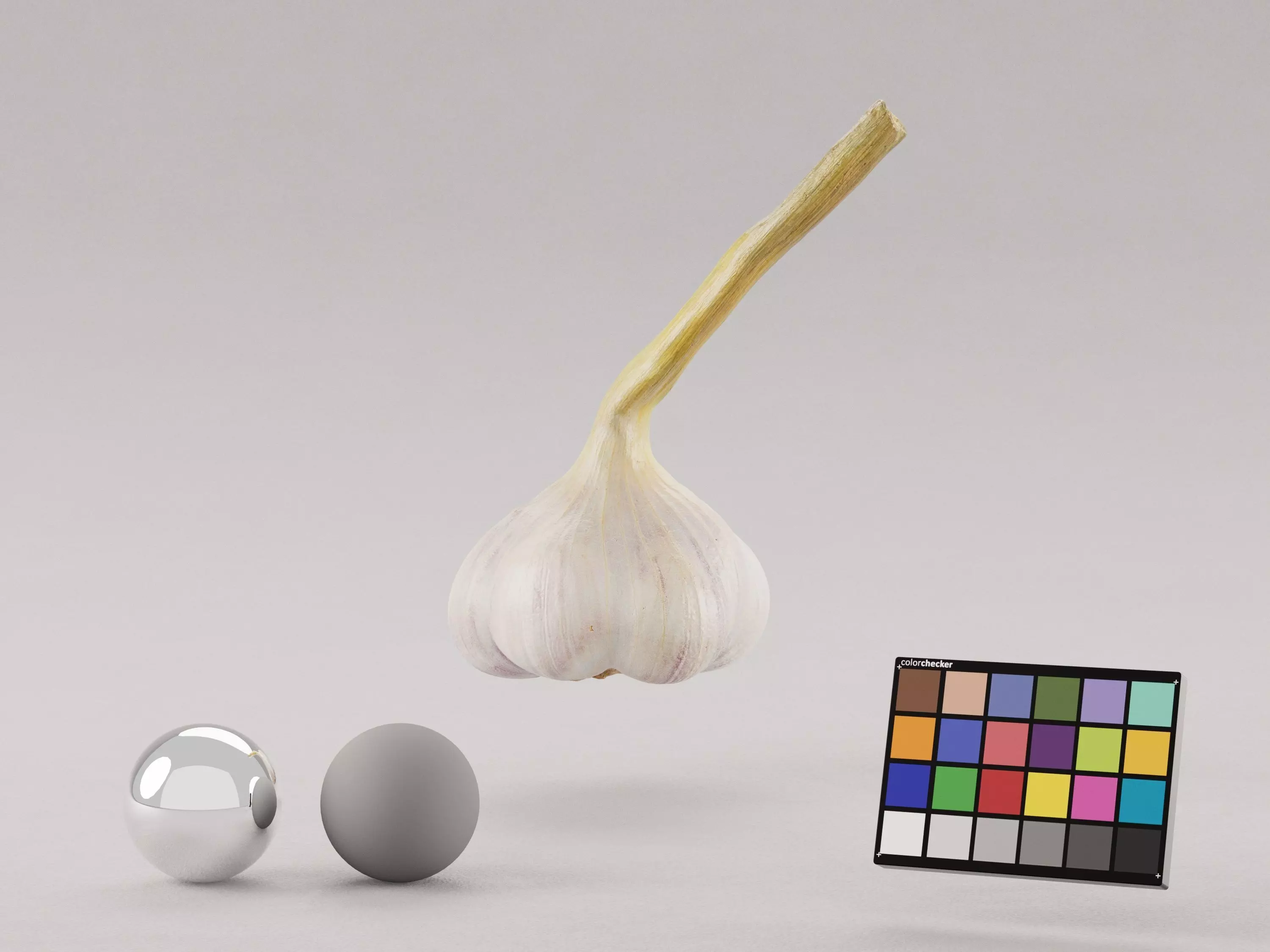 Garlic 3D model_0