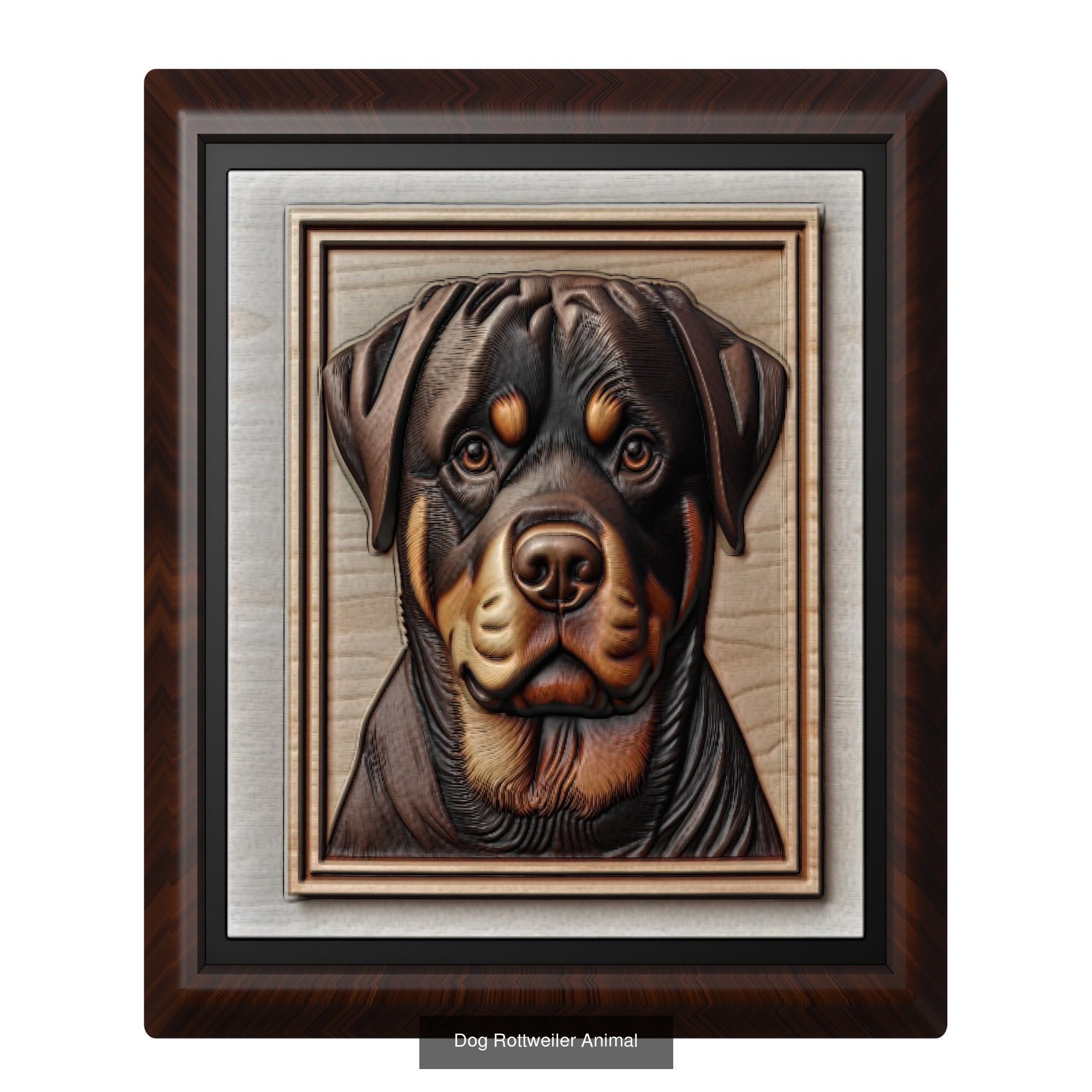 Animal Mega Package 100 Animal 3D Model Collection_107