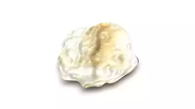 Oatmeal Piece 3D model