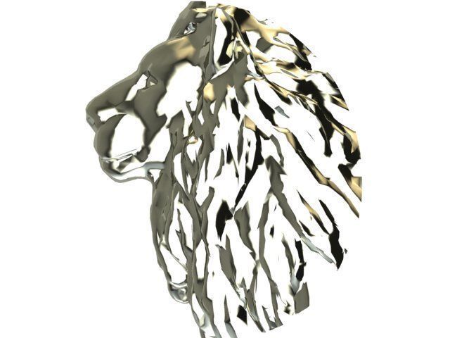Head of lion 3D print model_12