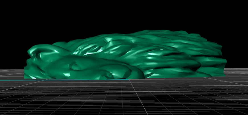 Head of lion 3D print model_15