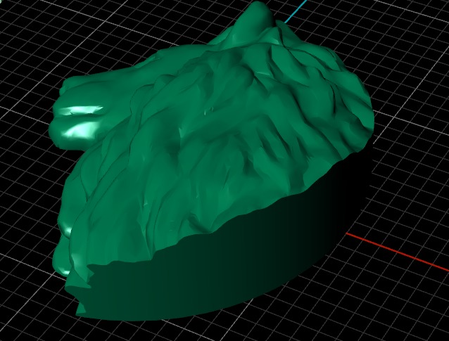 Head of lion 3D print model_11