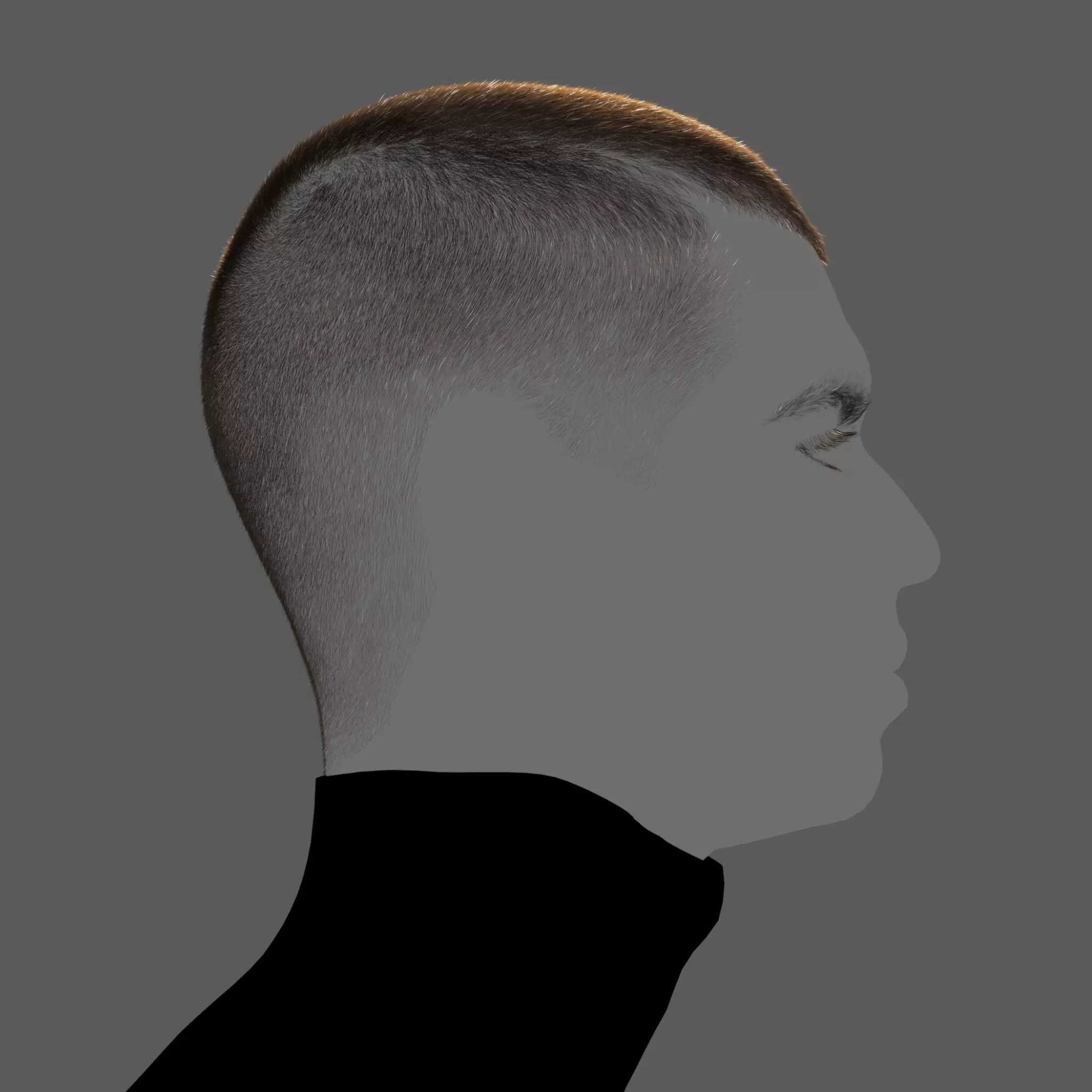 BuzzCut set XGen maya scene and alembic 3D model and abc FBX 3D model_0