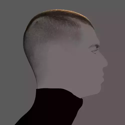 BuzzCut set XGen maya scene and alembic 3D model and abc FBX