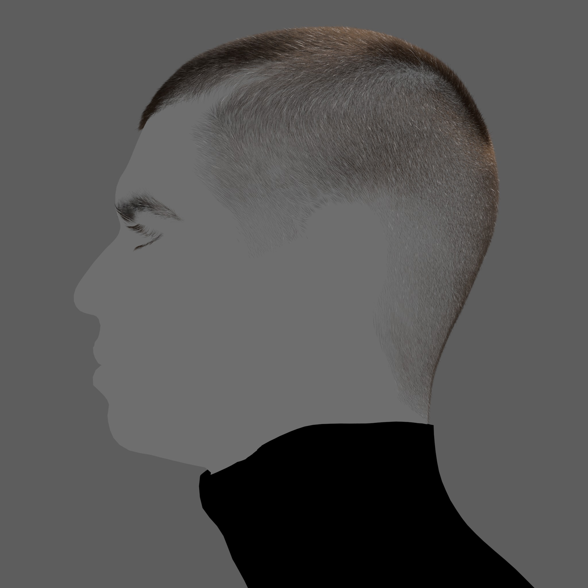 BuzzCut set XGen maya scene and alembic 3D model and abc FBX 3D model_3