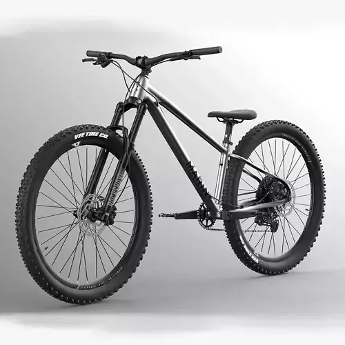 MTB hardtail metallic silver gloss black