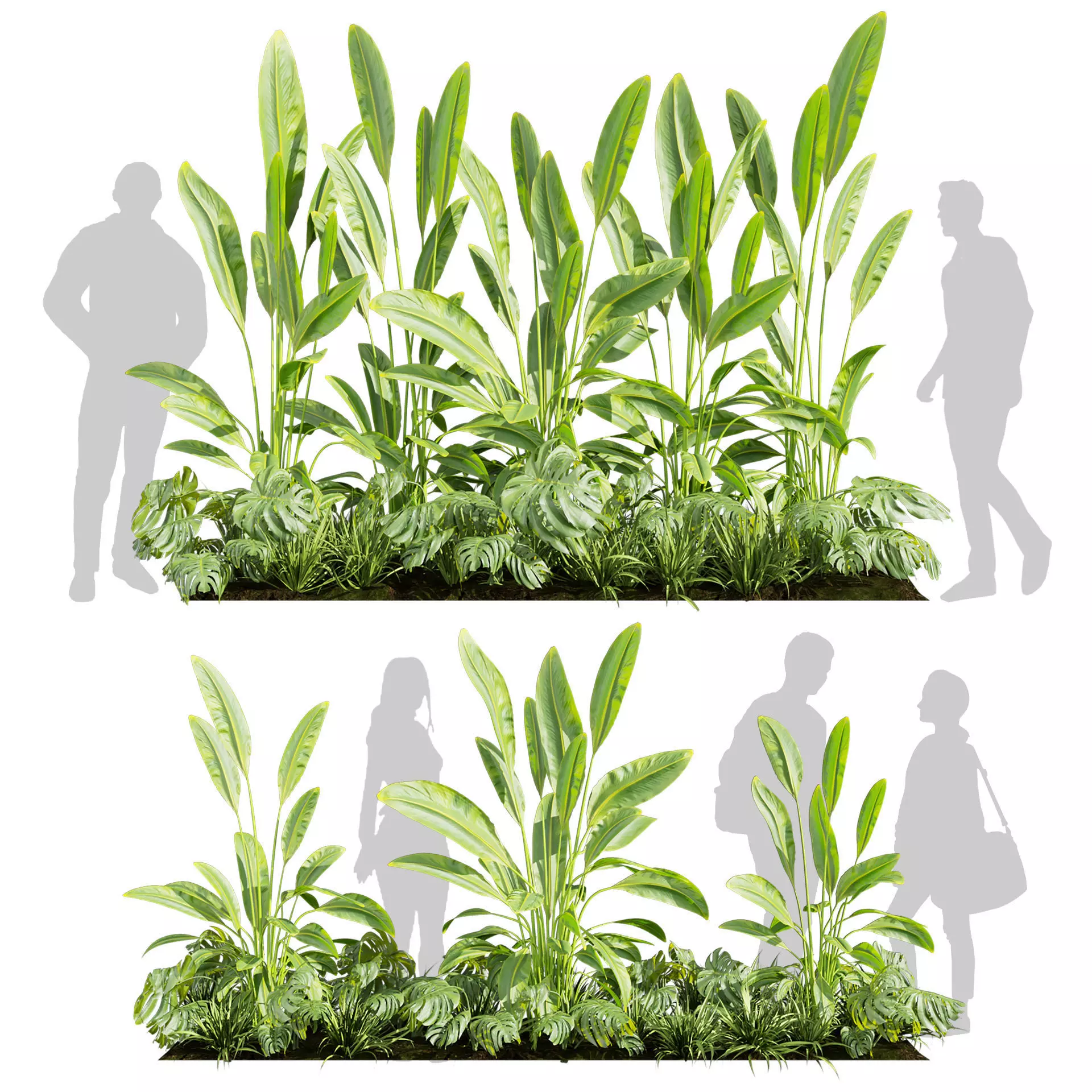Banana Monstera Grass Garden - Vol 615 3D model