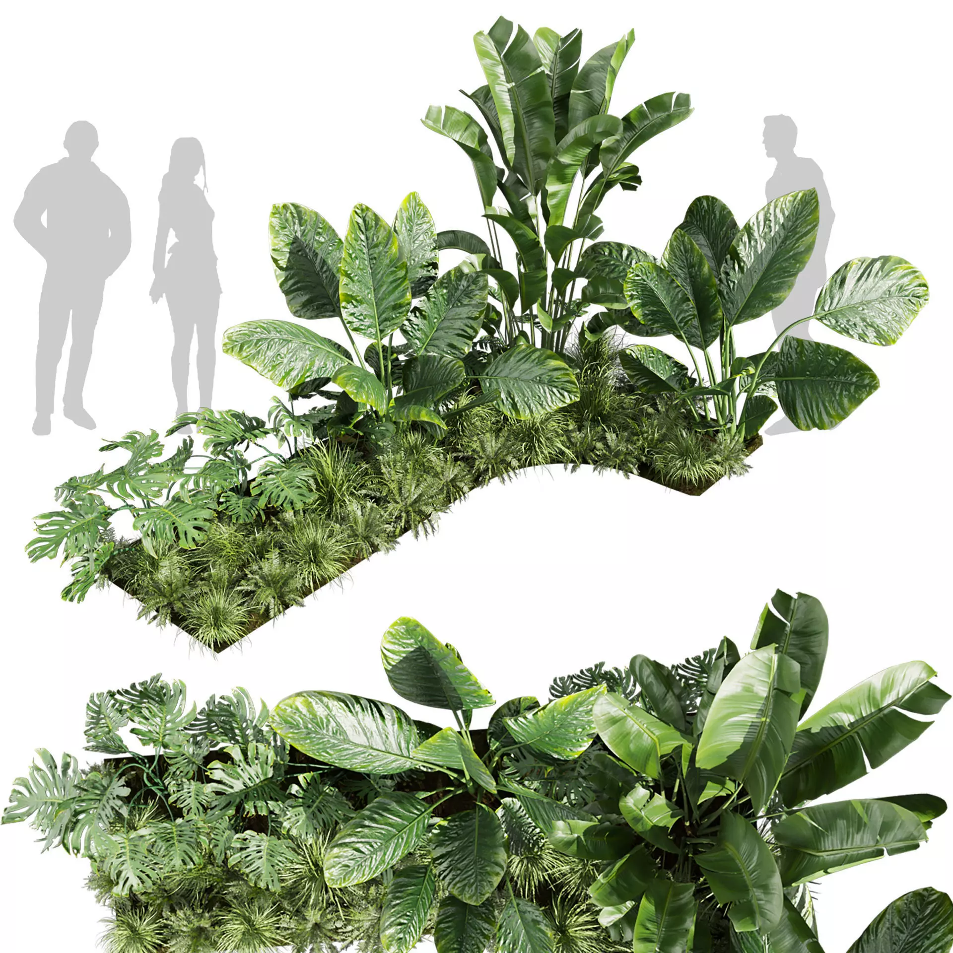 Banana Monstera Grass Garden - Vol 616 3D model