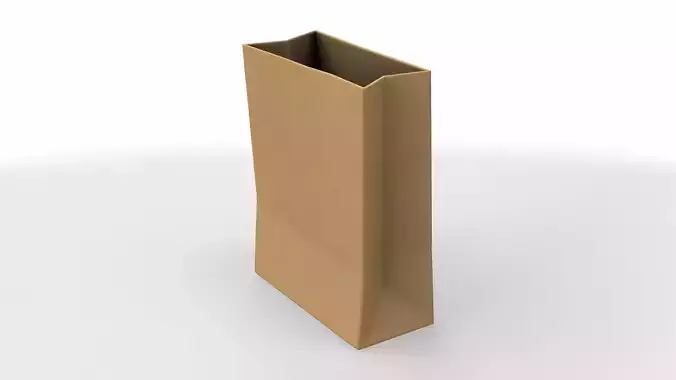 paper bag 03
