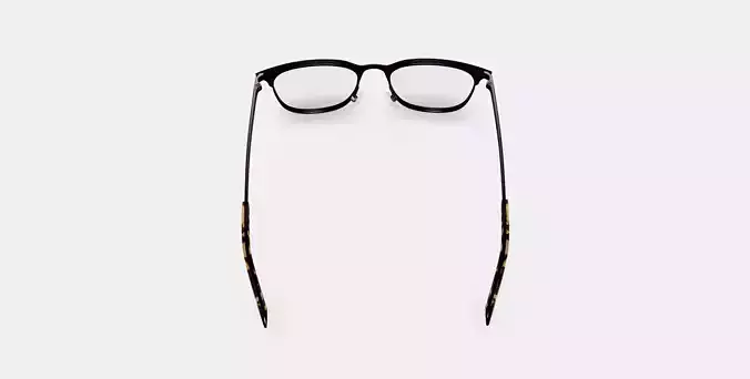 Campbell Eyeglasses in Carbon 3D model