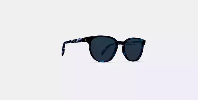 Sydney Sunglasses in Riverbed Tortoise
