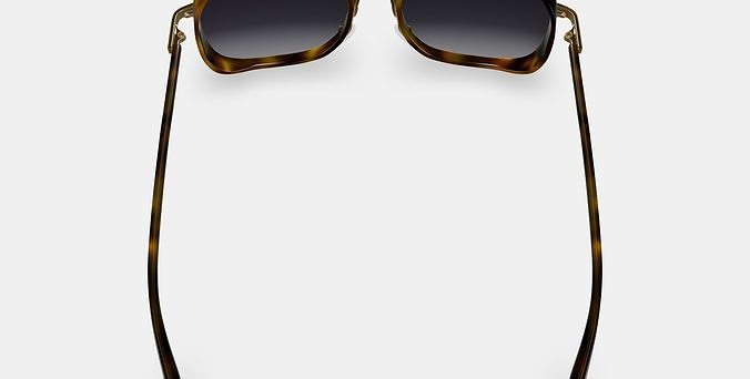 Fernanda Sunglasses in Cognac Tortoise with Polished Gold 3D model